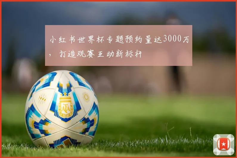 小红书世界杯专题预约量达3000万，打造观赛互动新标杆